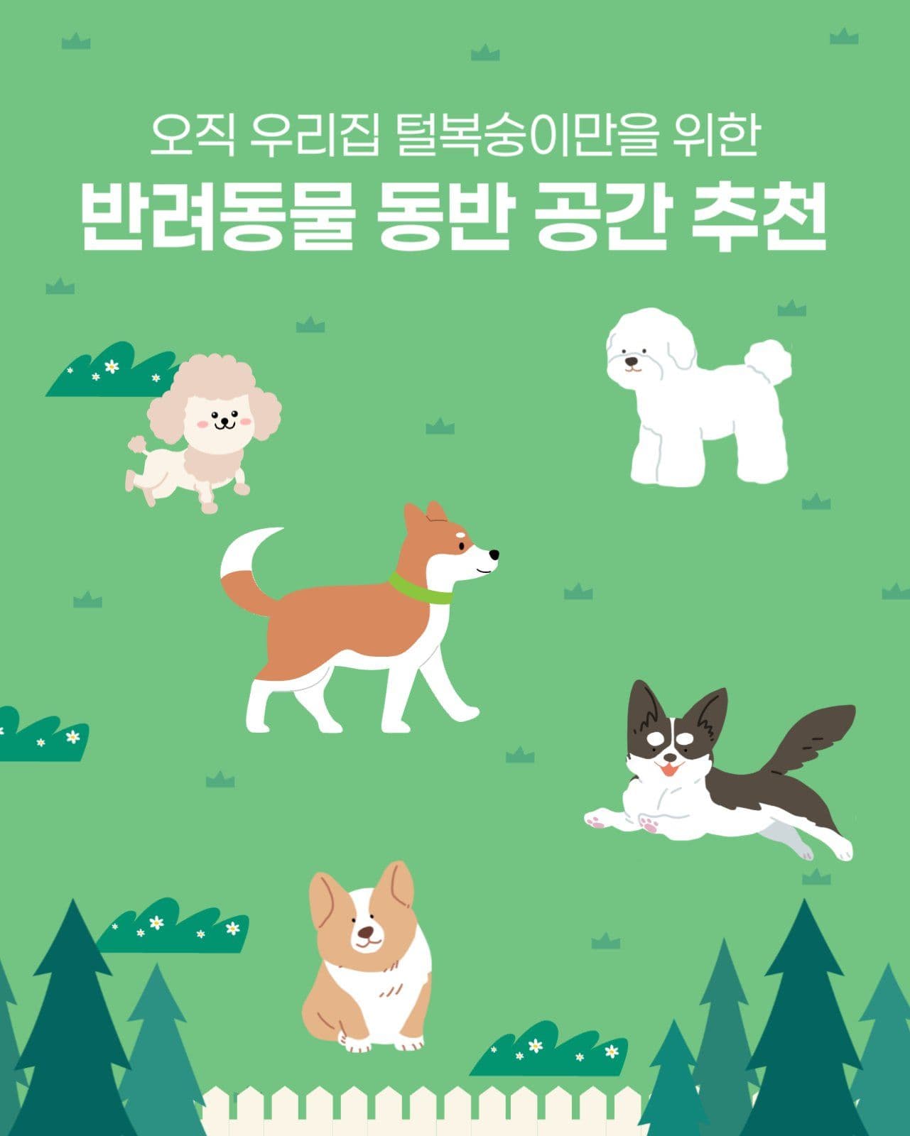 애견동반 공간 추천
