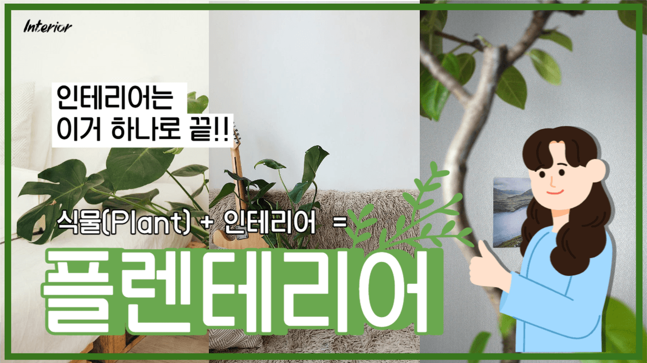 플렌테리어_인테리어 식물