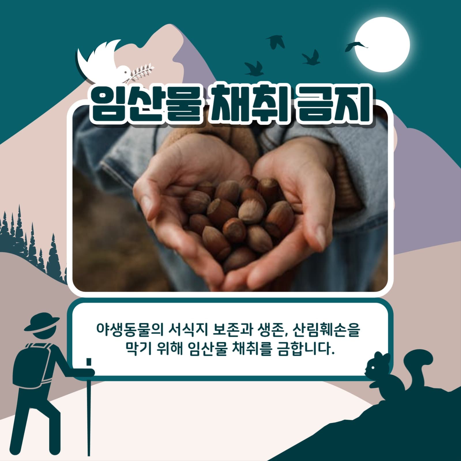 등산 시 주의사항 카드뉴스