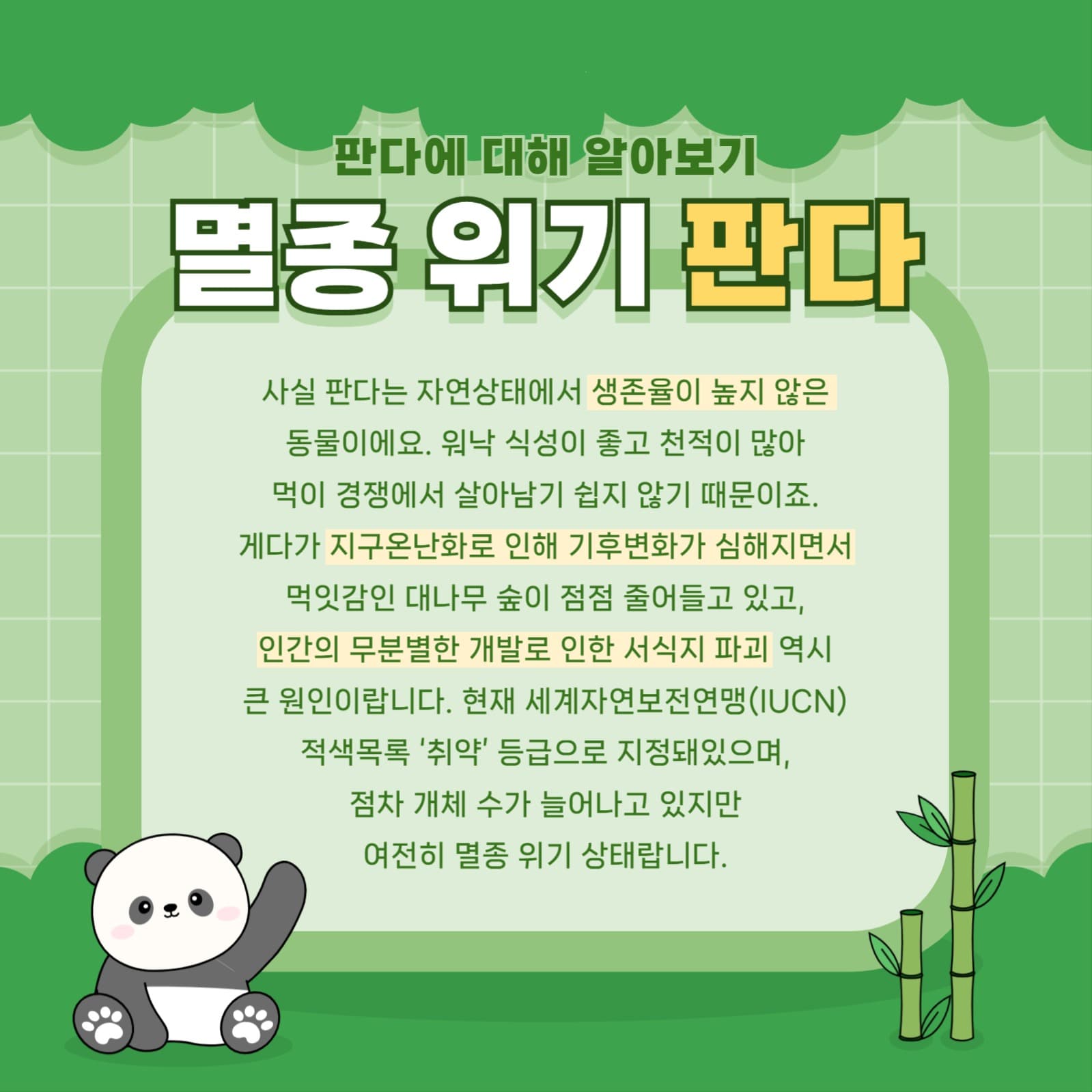판다 템플릿