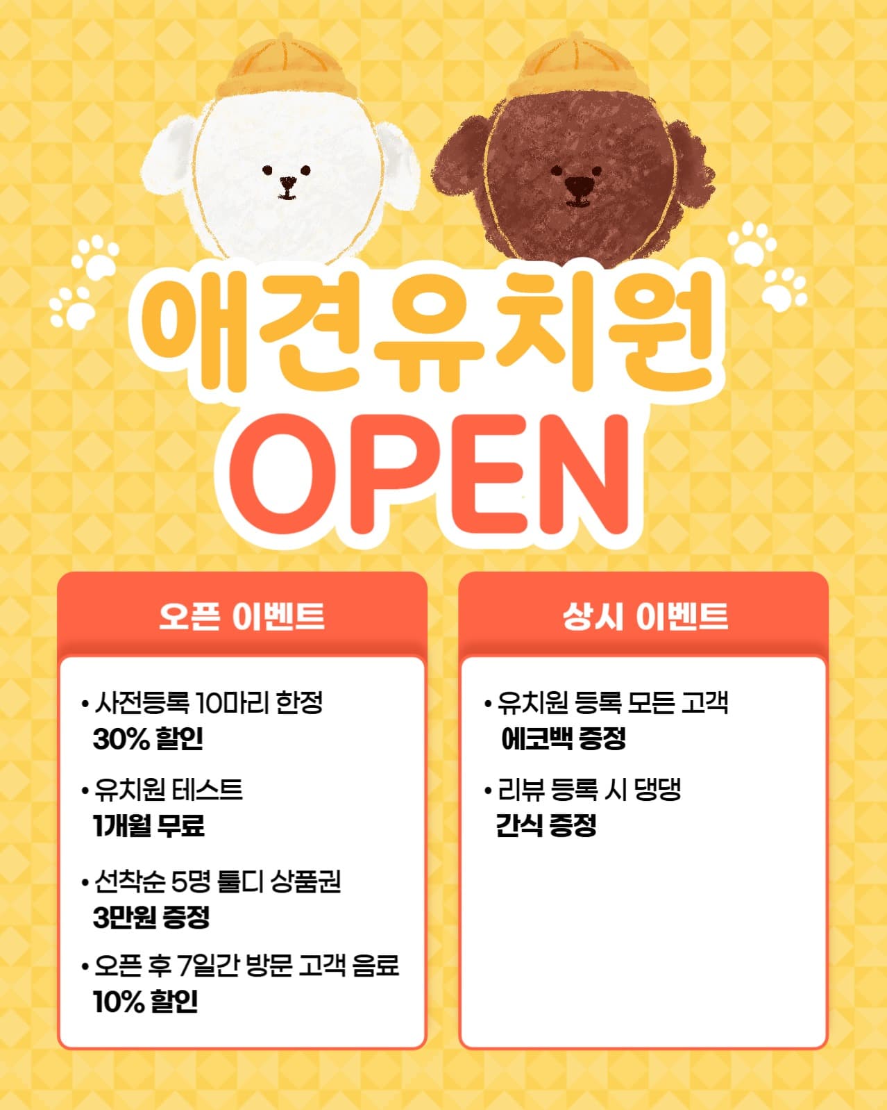 애견유치원 open