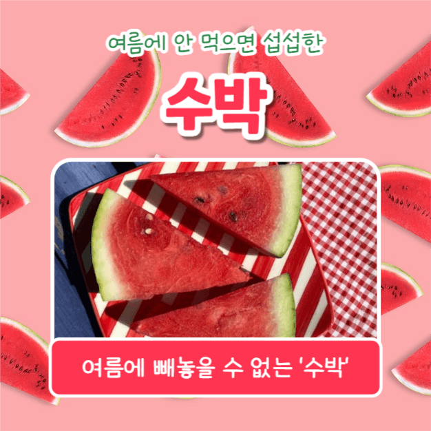 올여름 제철과일 (카드뉴스)