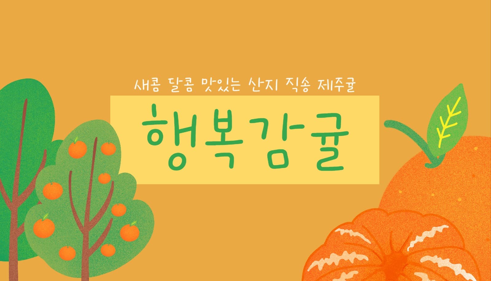 감귤 명함