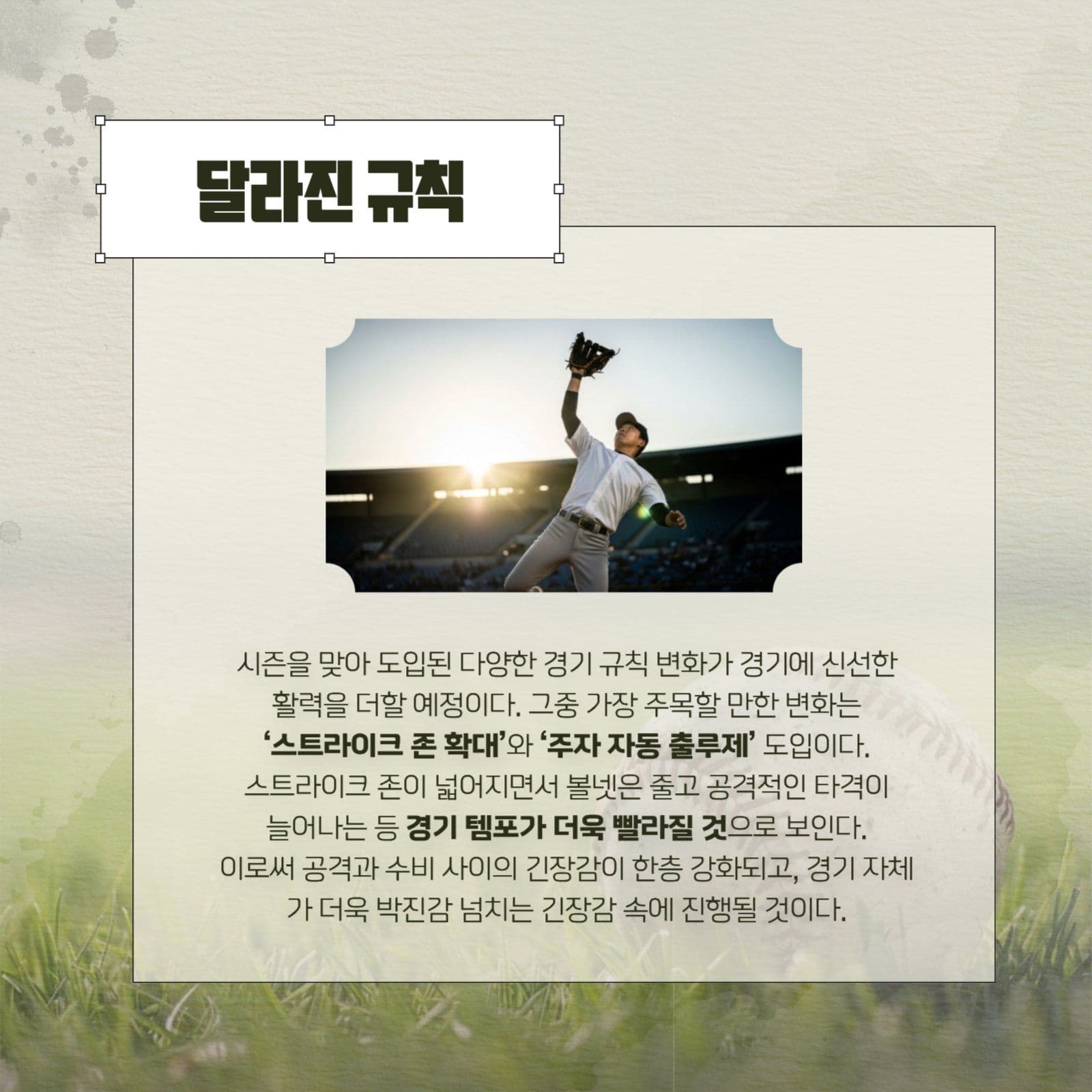 그린 프로야구 카드뉴스