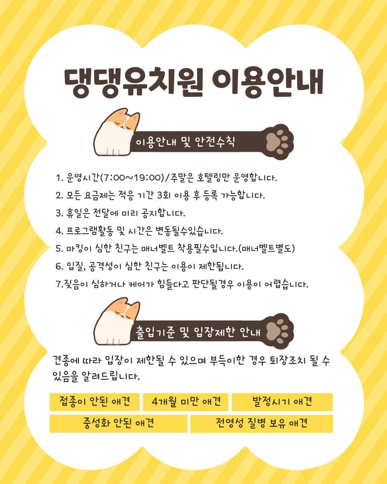 댕댕유치원 이용안내