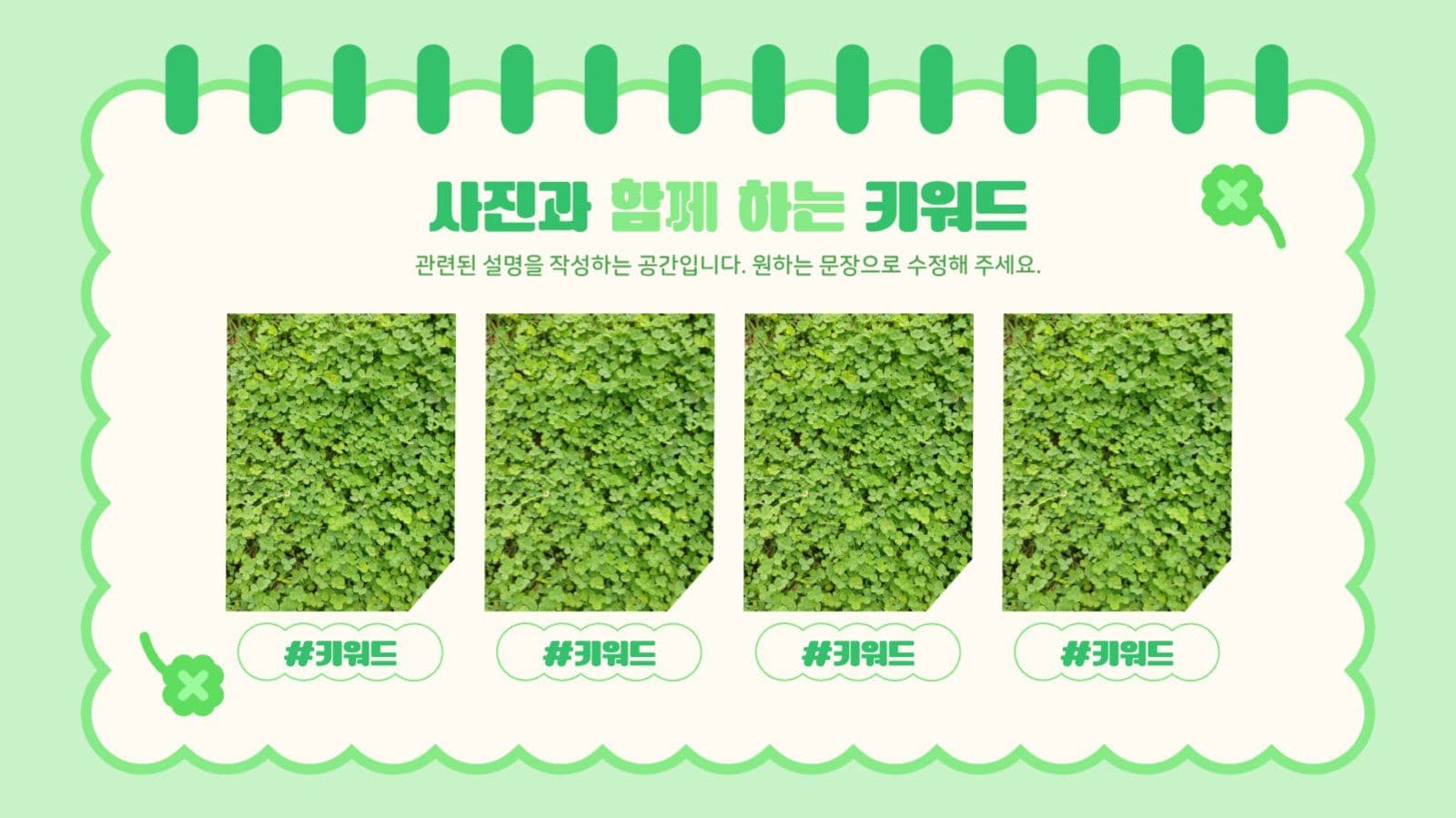 그린 행운의 네잎클로버 프레젠테이션