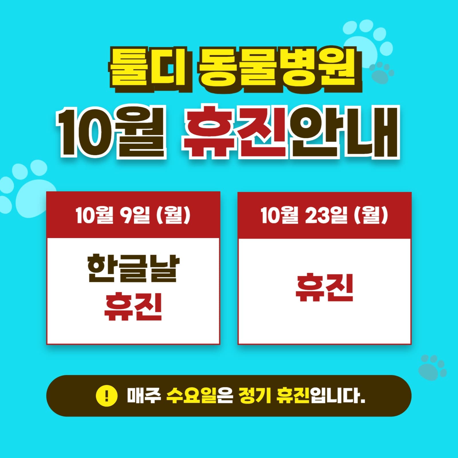 툴디 동물병원 휴진안내
