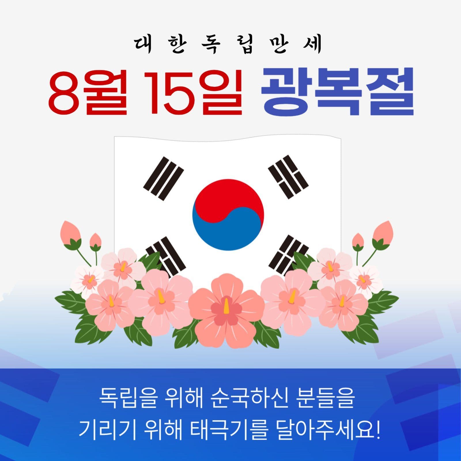 광복절 태극기 계양
