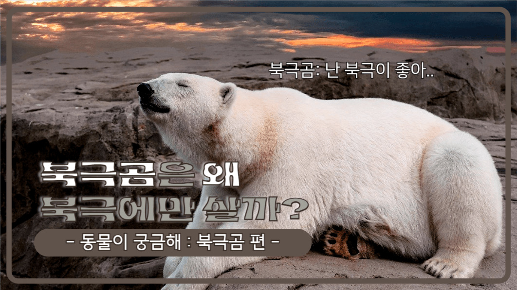 유튜브썸네일_북극에 사는 북극곰