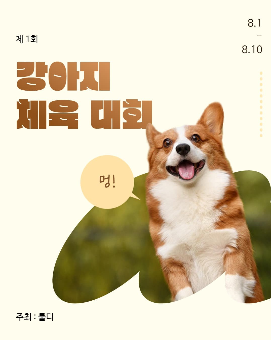 강아지 체육대회