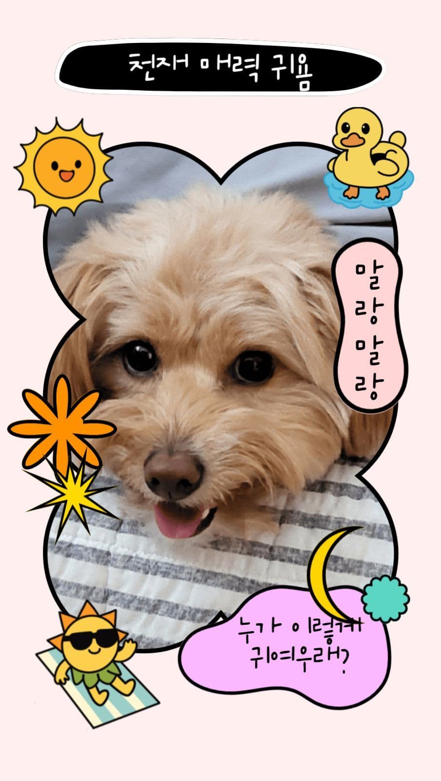 귀여운 포토카드