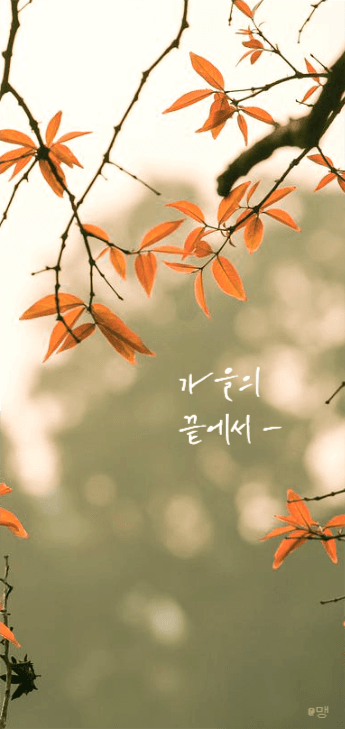 감성 배경화면