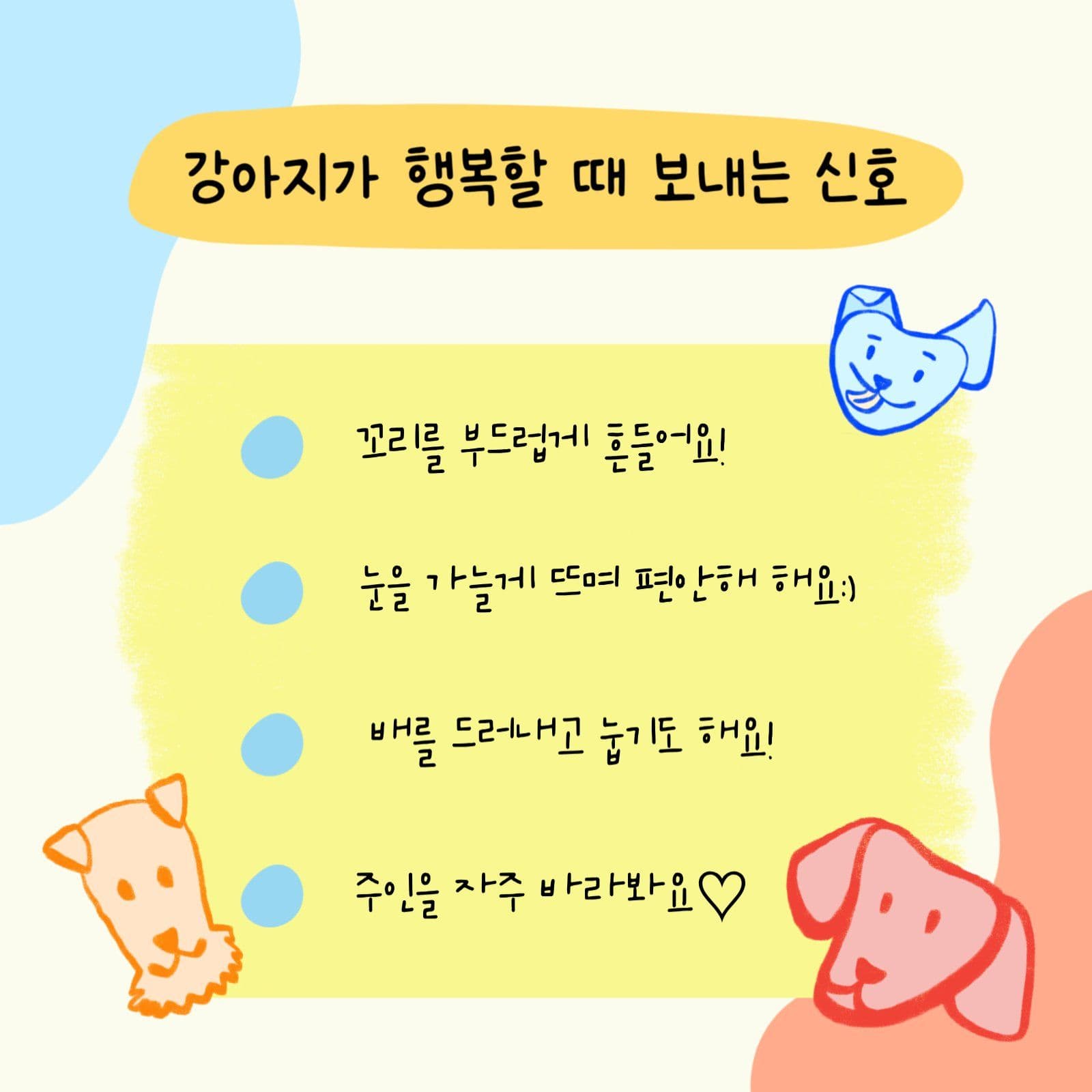강아지가 행복할 때