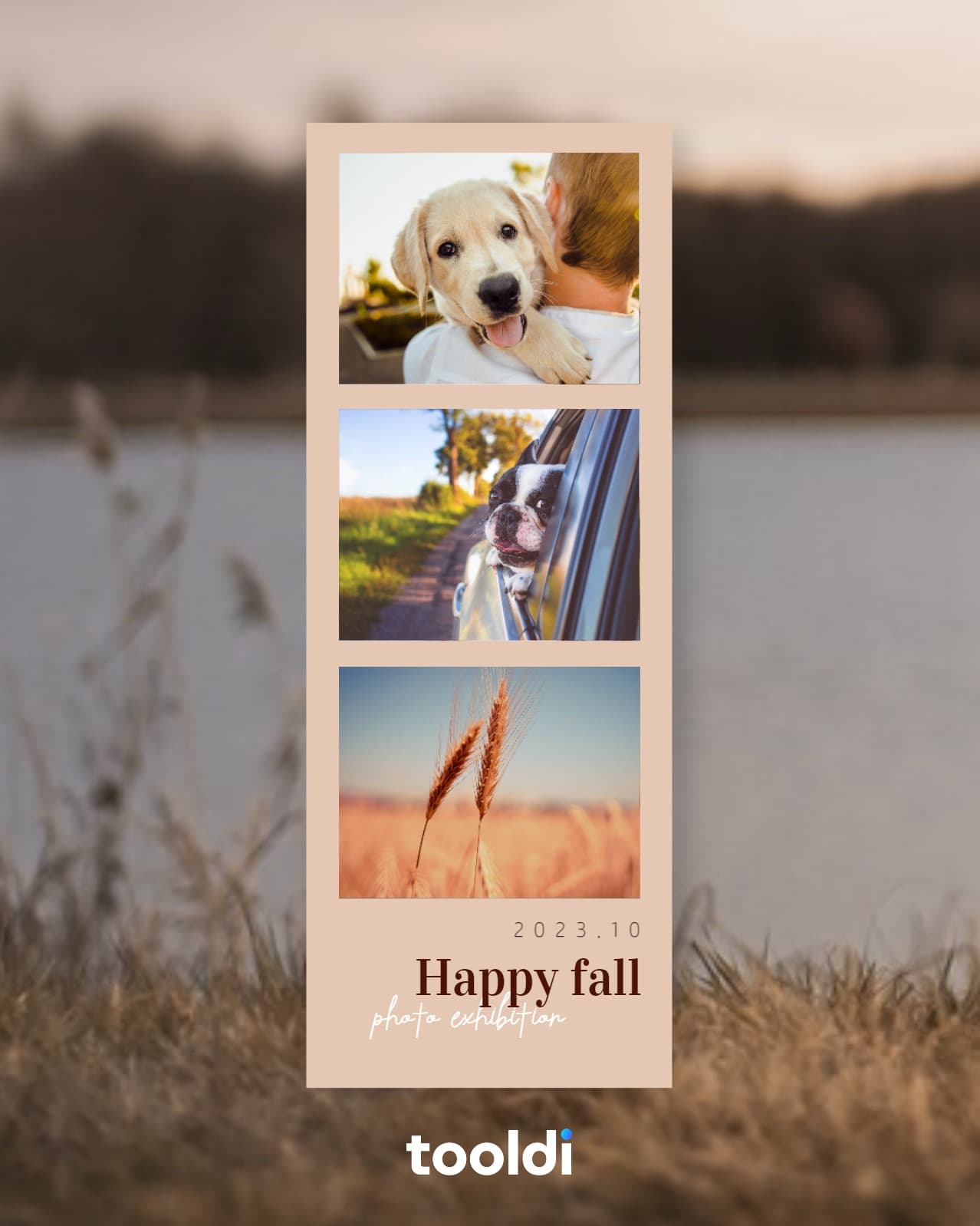 happy fall