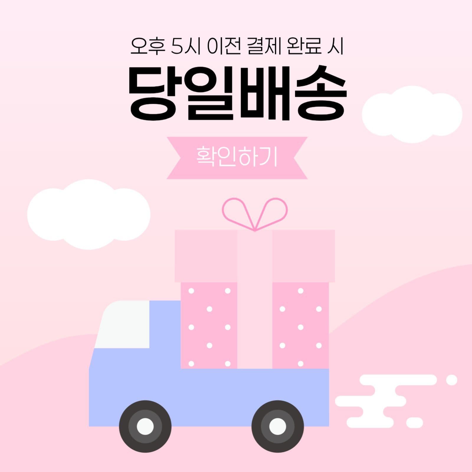 핑크 시플 쇼핑몰 당일 배송 안내