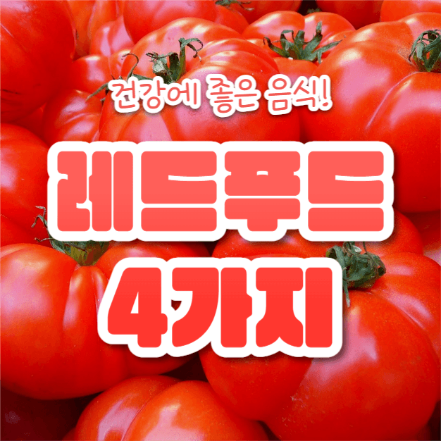 레드푸드 4가지 (인스타)