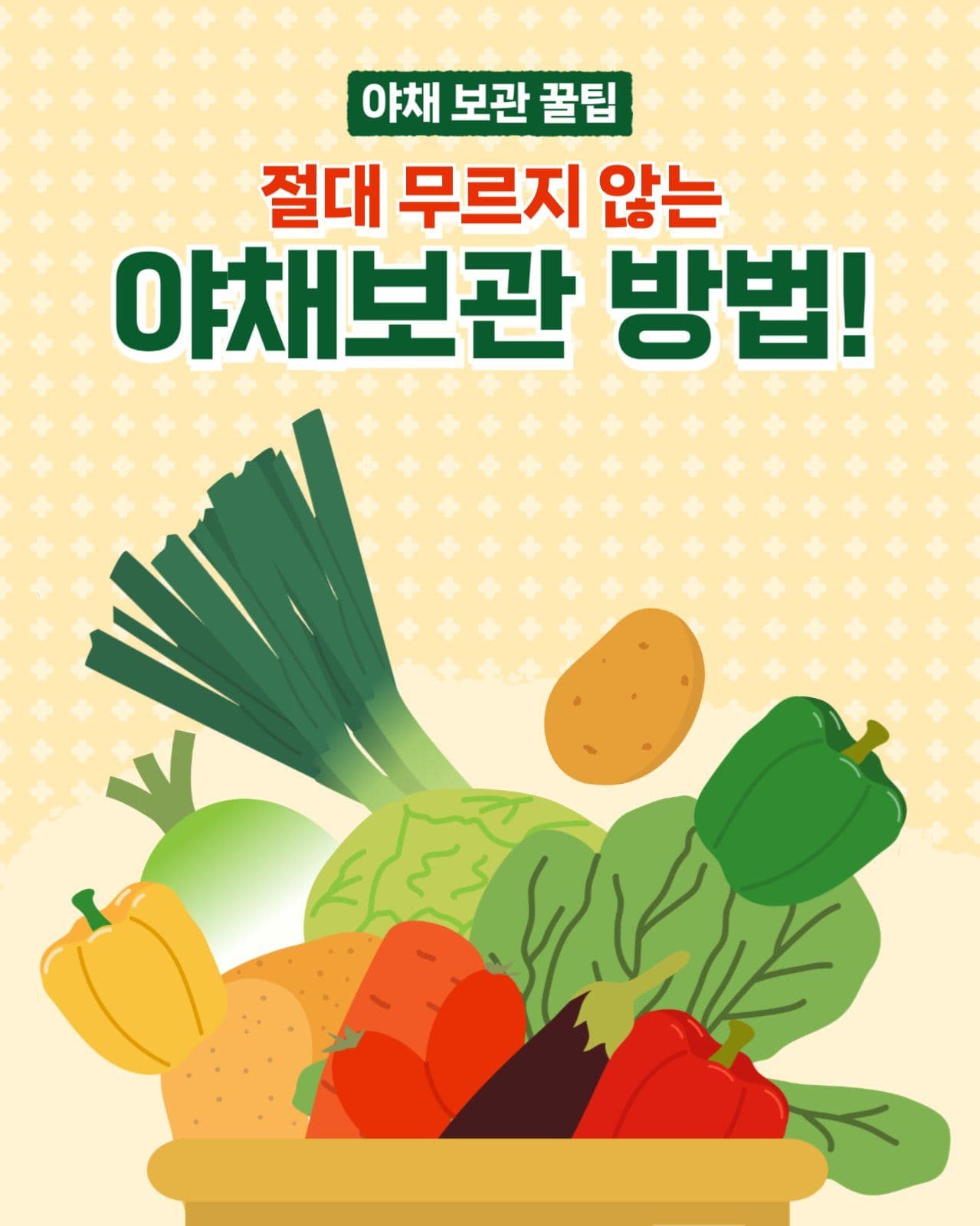 야채보관법