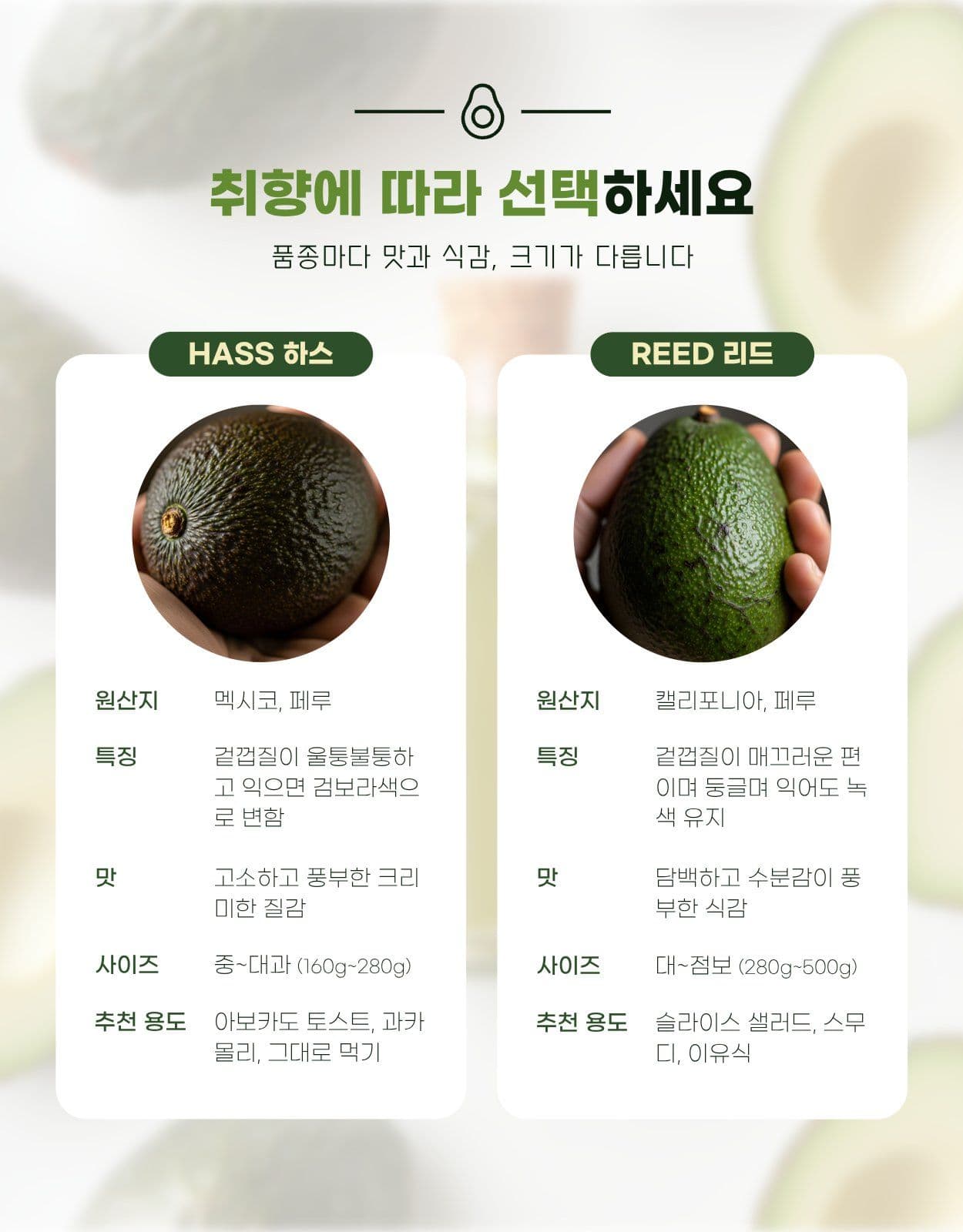 아보카도 과일 신선식품 상세페이지