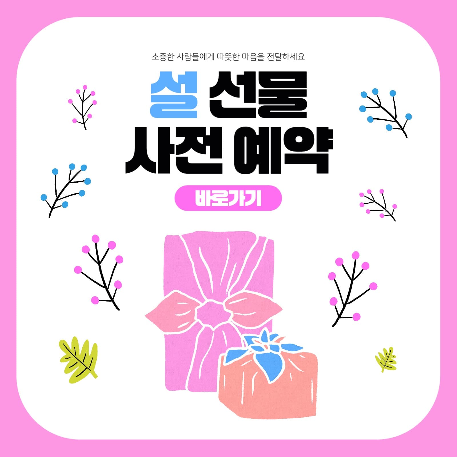 설선물사전예약