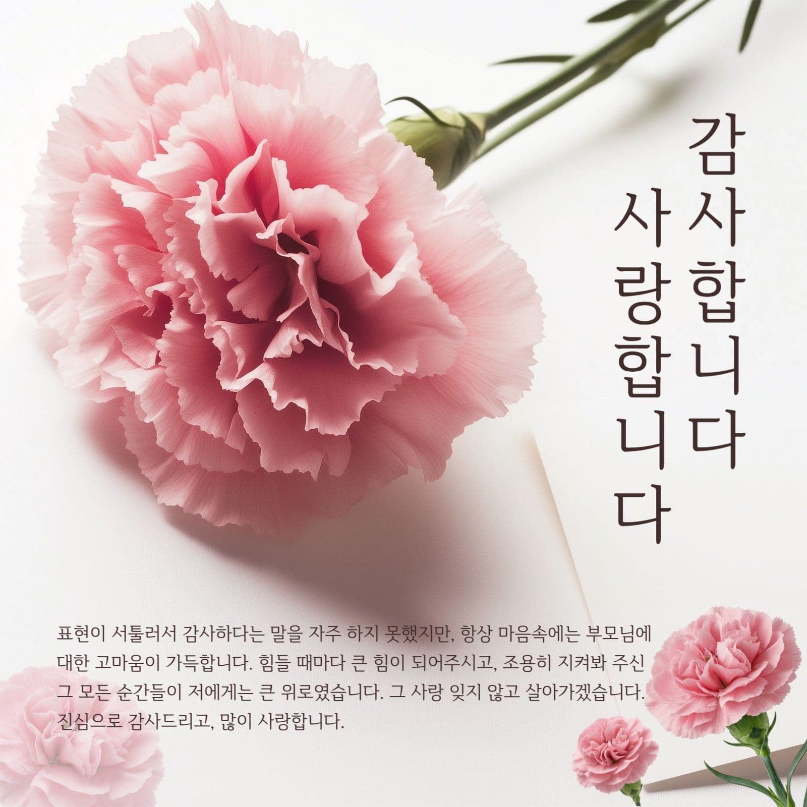 어버이날 감사인사 게시물