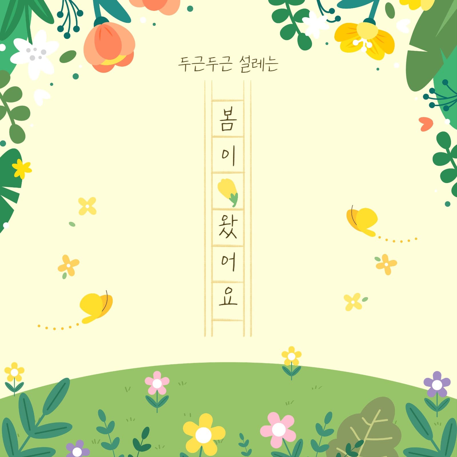 두근두근 설레는 봄이 왔어요 공지
