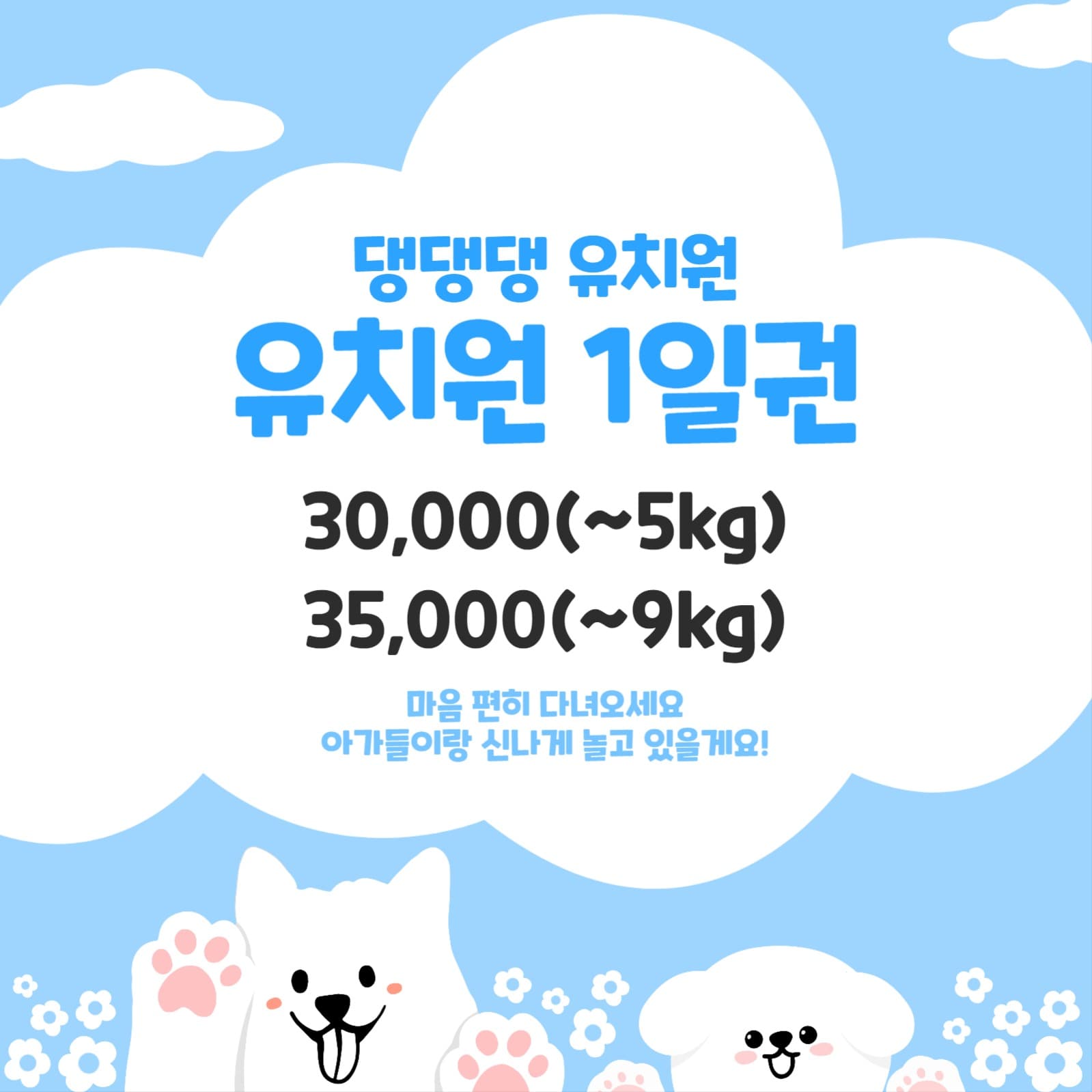 애견 유치원 1일권