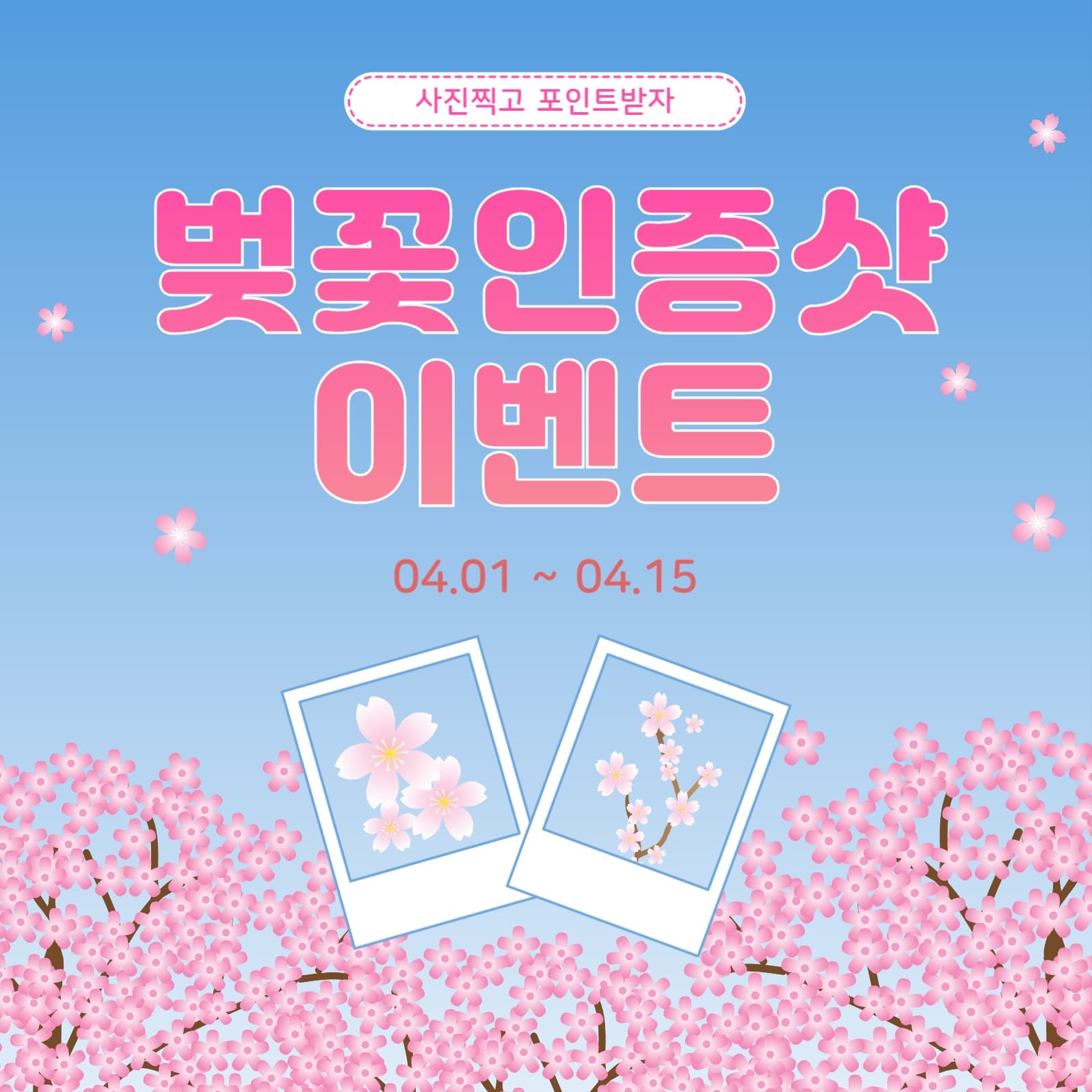 벚꽃인증이벤트