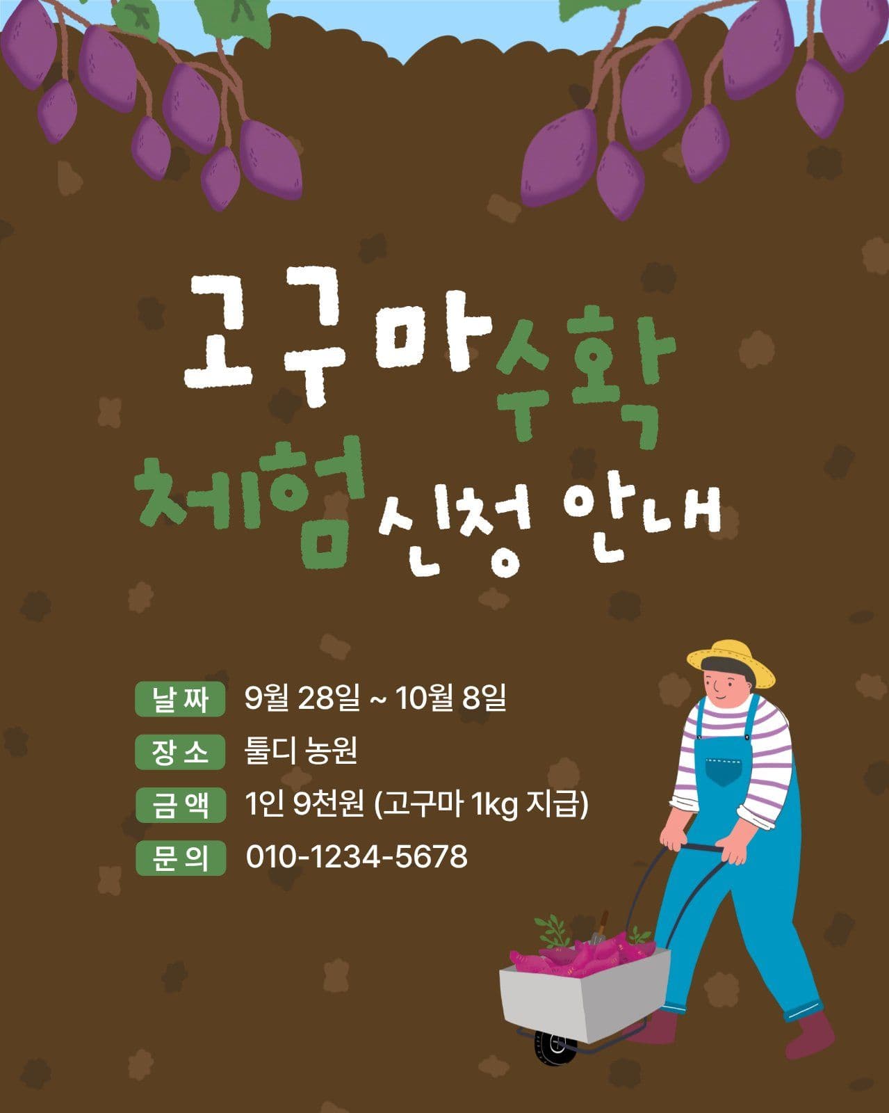 고구마 수확 체험 신청 안내