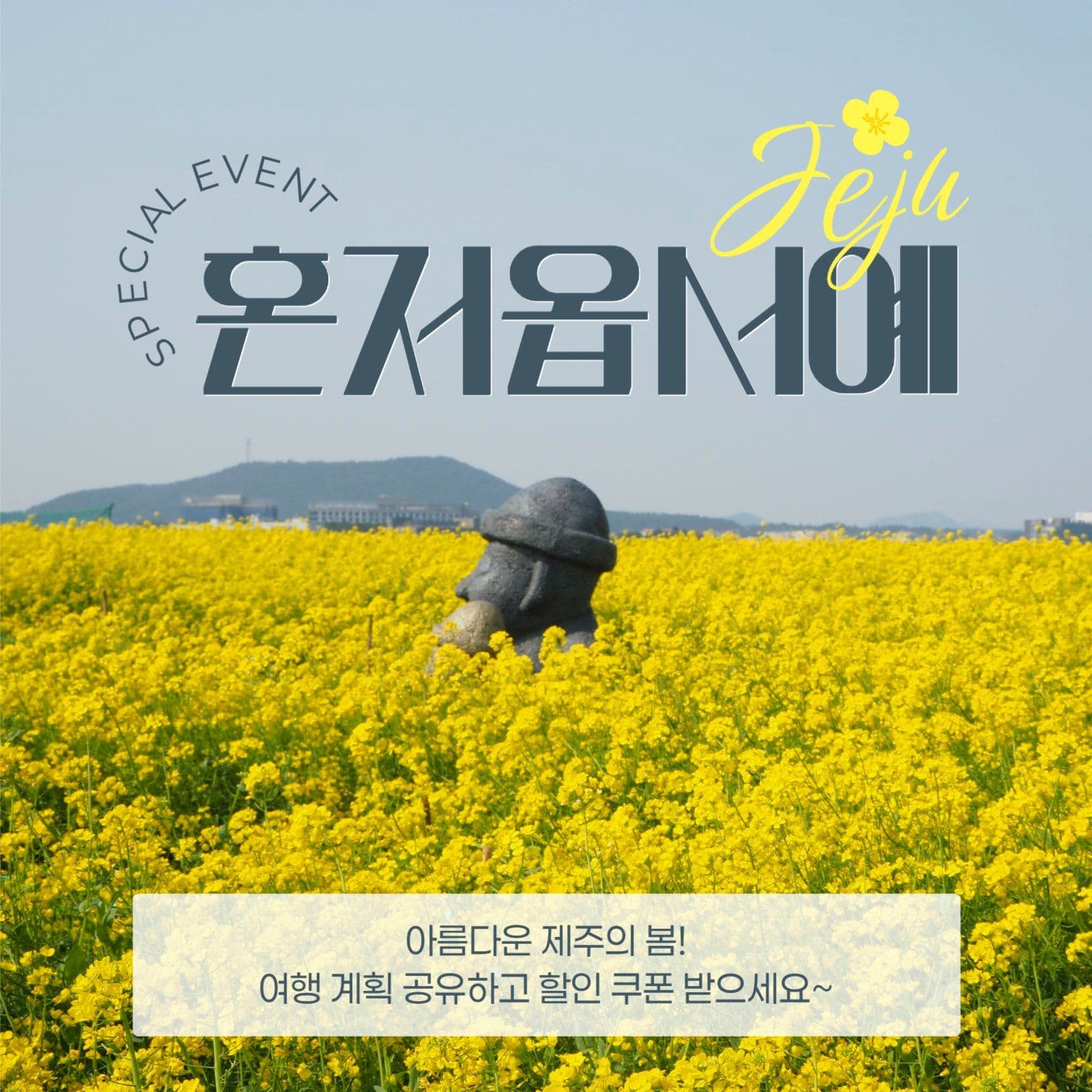제주 여행 세일 게시물