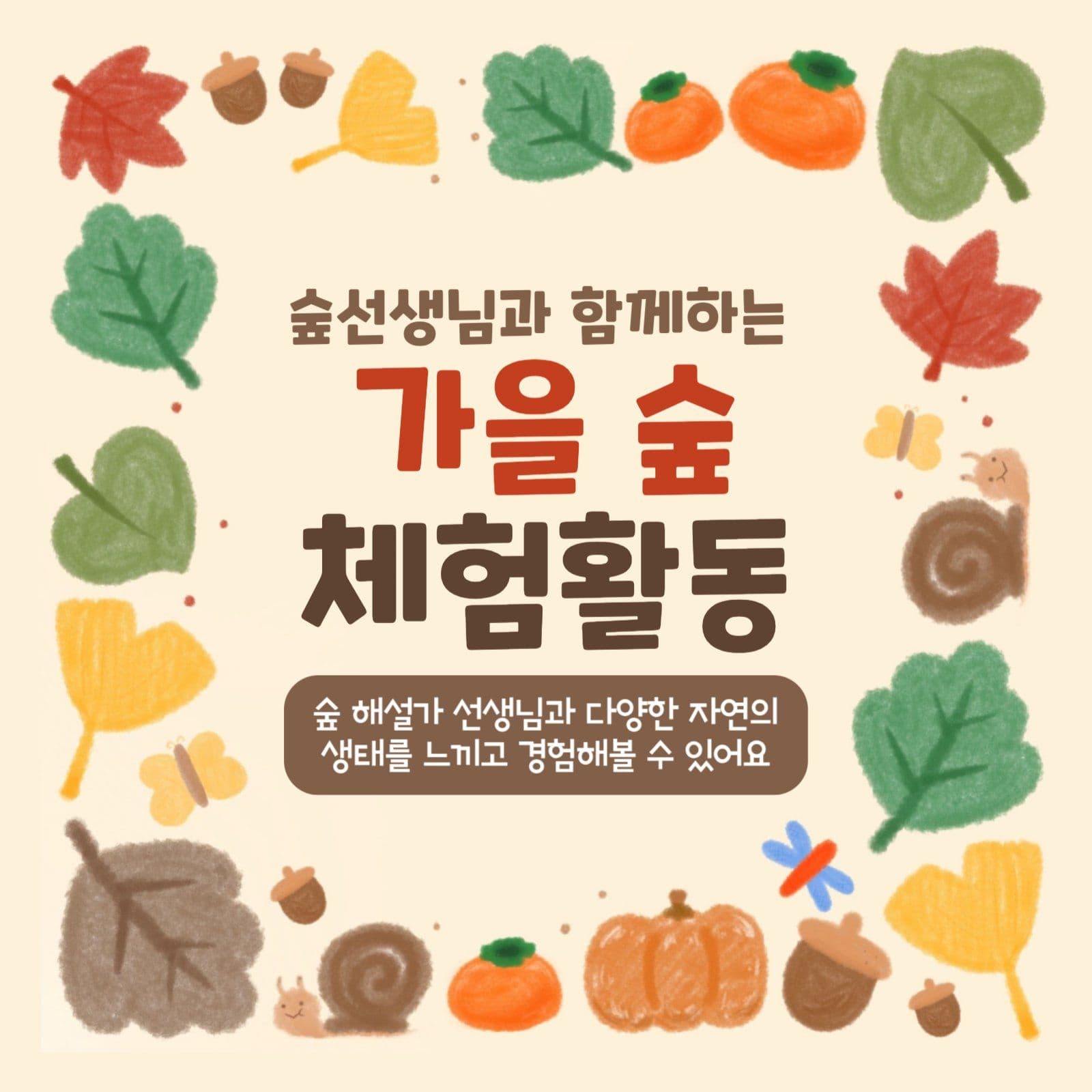 가을 숲 체험활동