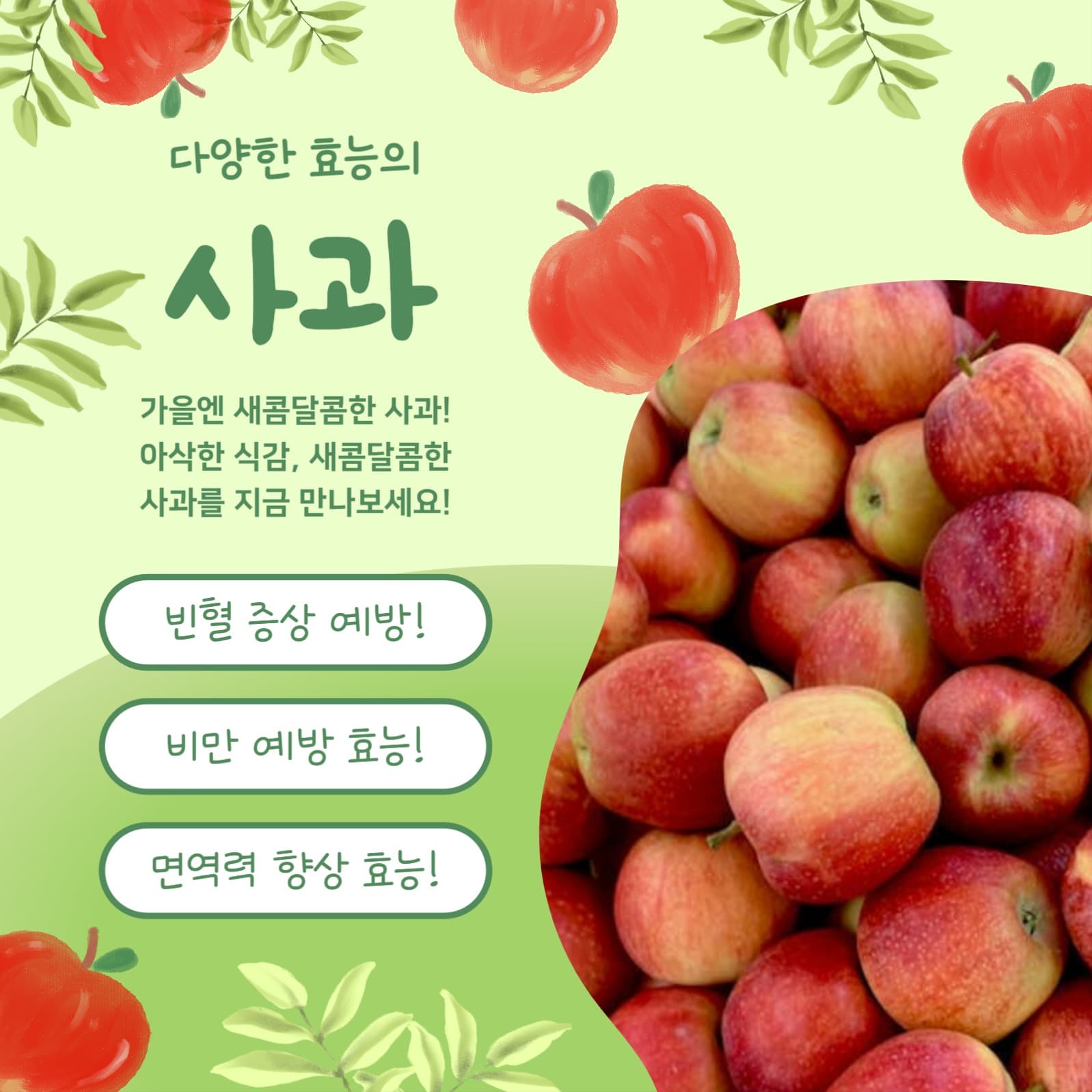 새콤달콤 제철사과 (카드뉴스)