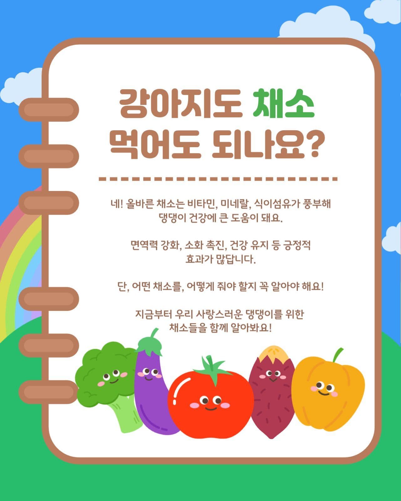 강아지에게 좋은 채소