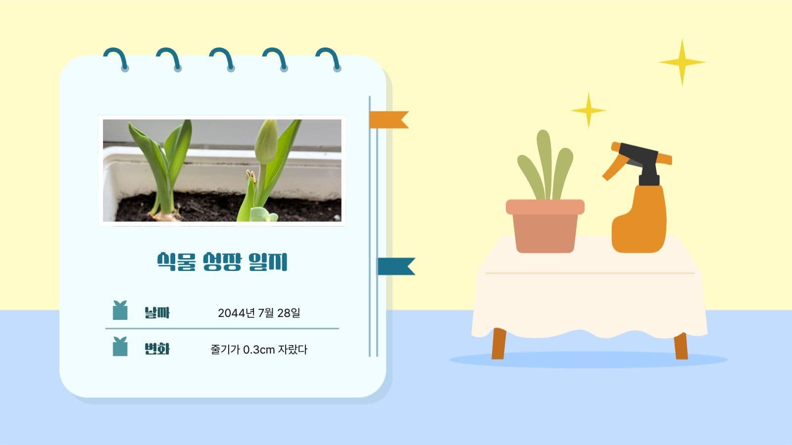 식물 잘 키우는 법 PPT