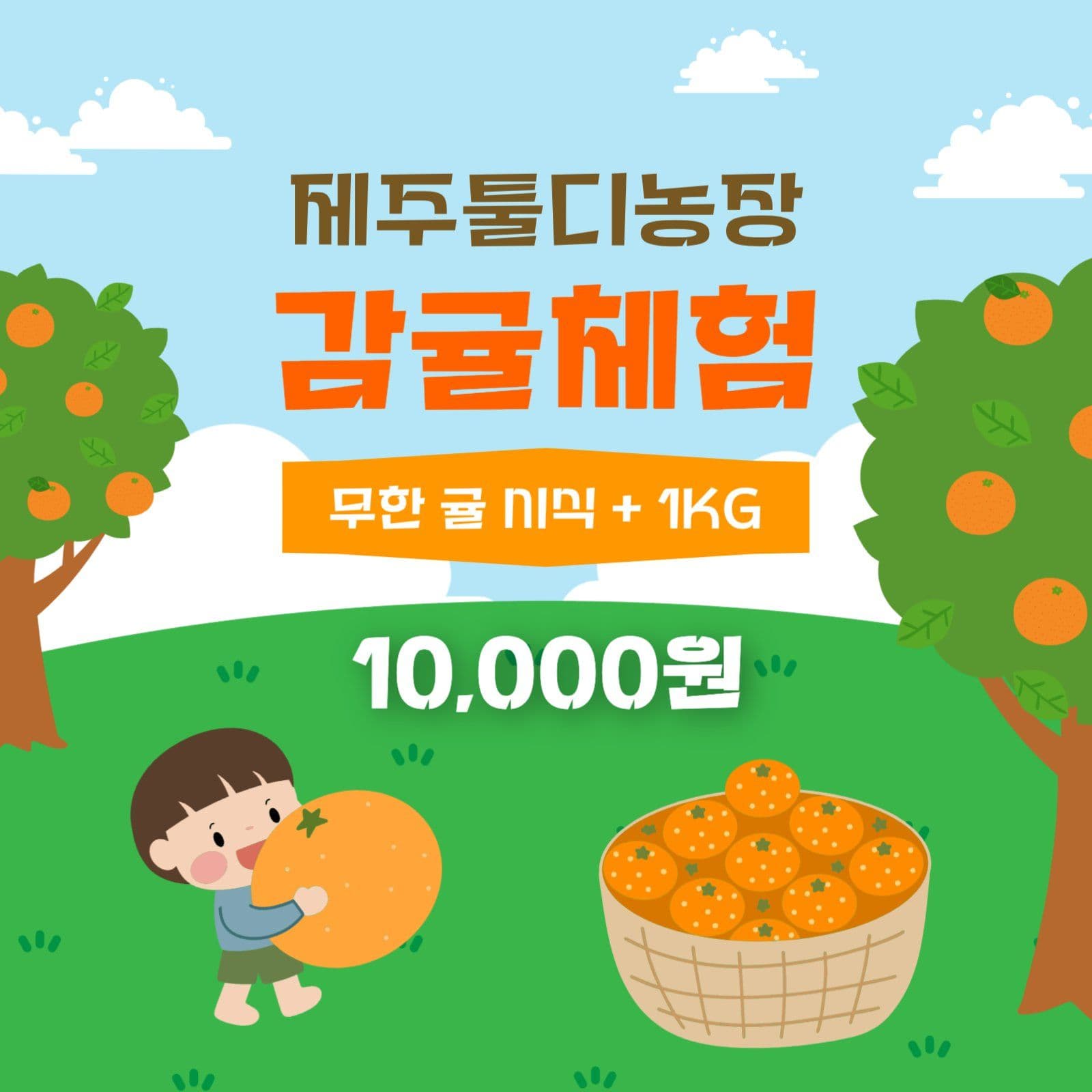 감귤체험