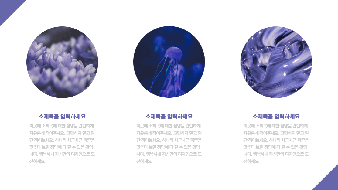 행복한 베리 페리