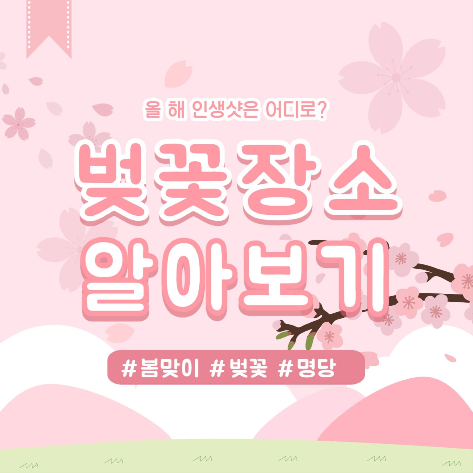 벚꽃축제 알아보기
