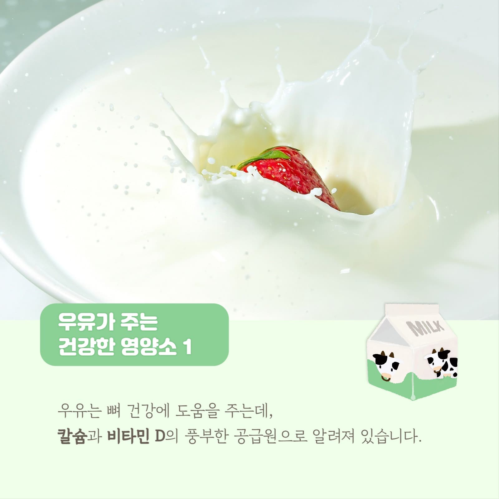우유가 주는 건강한 영양소