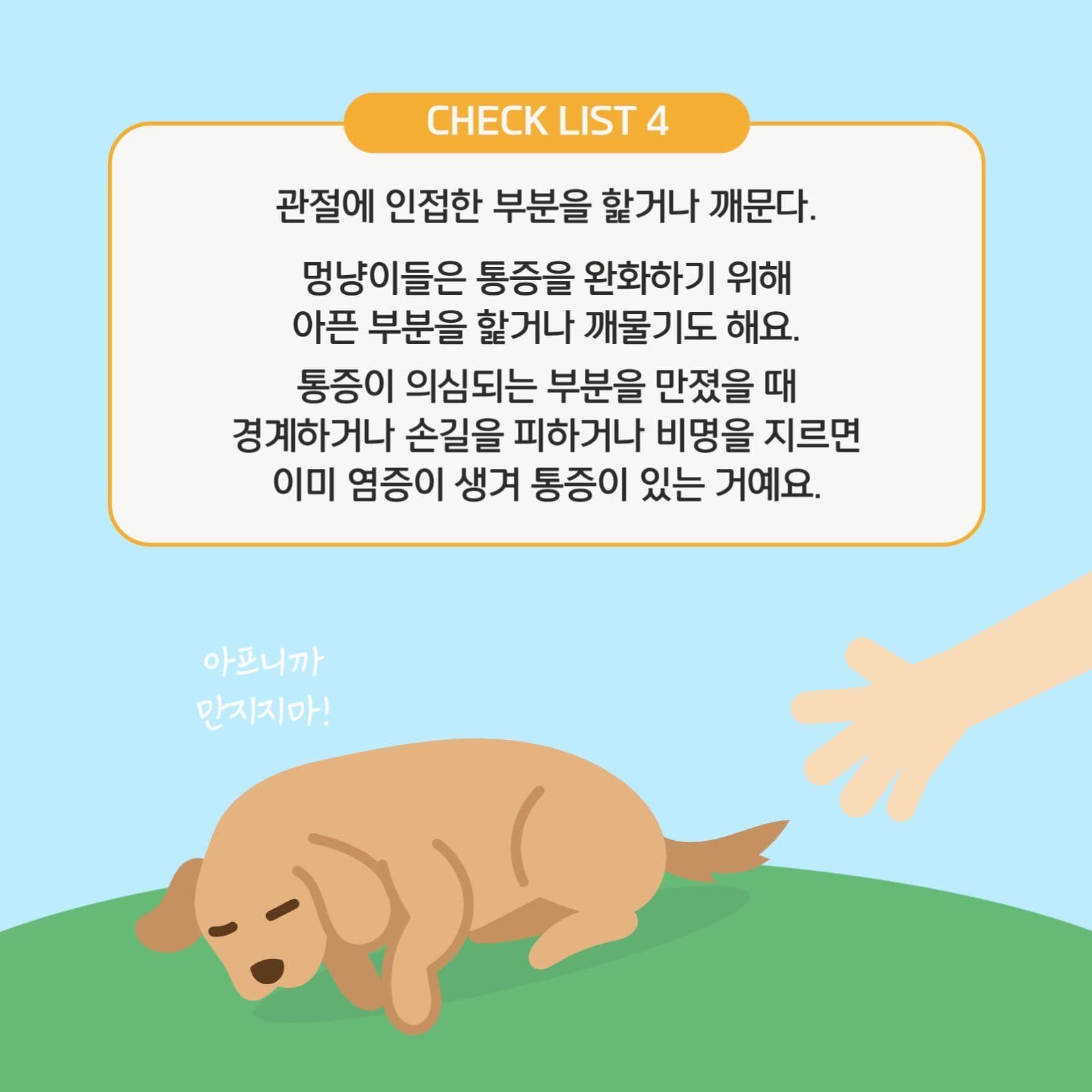 멍냥이 관절건강 체크리스트