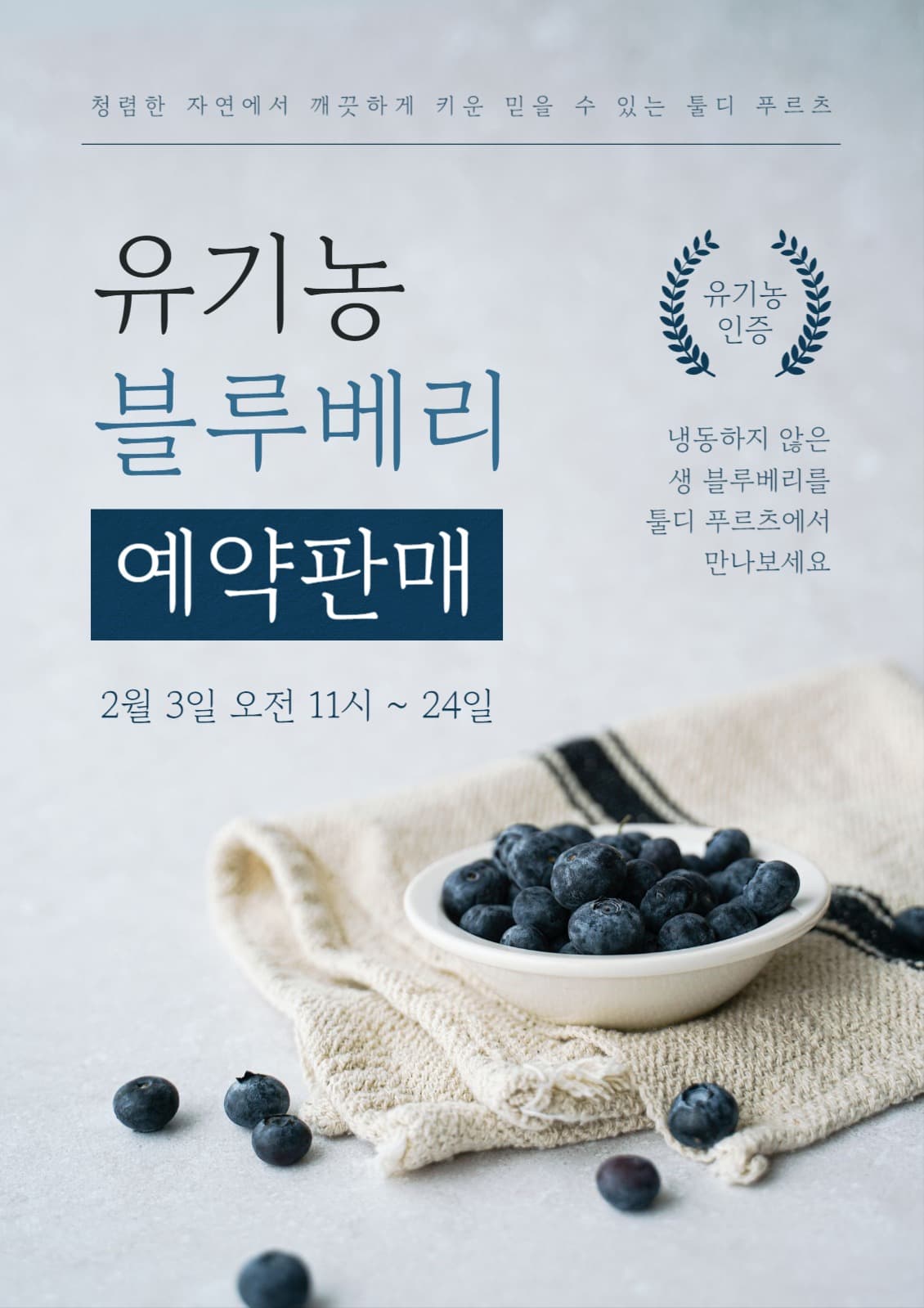 블루베리 예약 판매 포스터