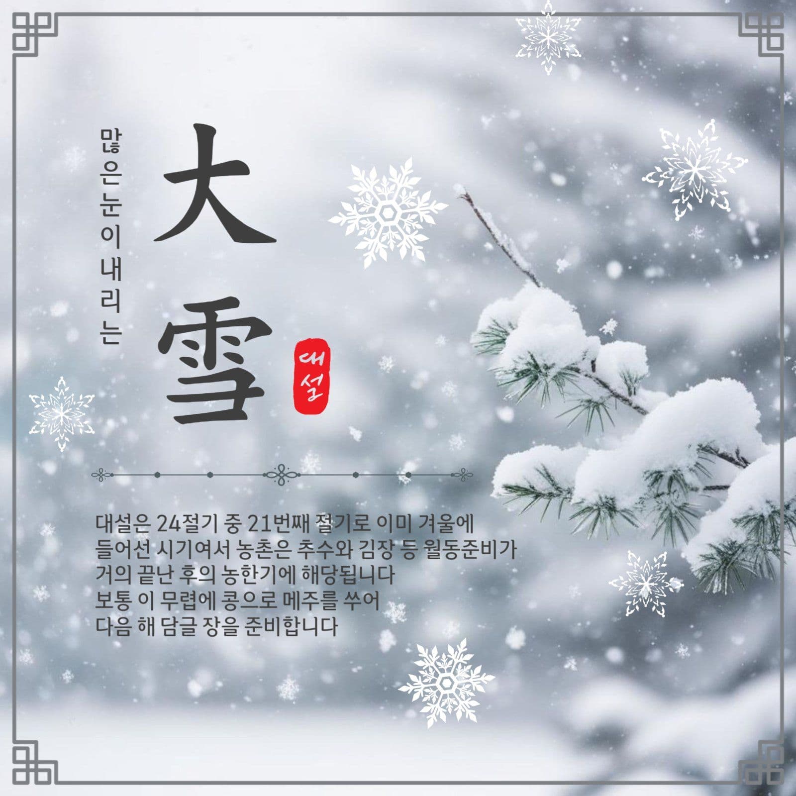 많은눈이내리는대설
