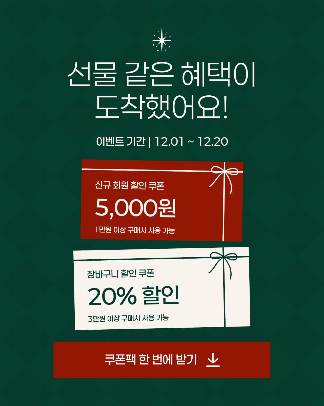 초록색 할인 쿠폰 안내 게시물 크리스마스 소셜 미디어 템플릿