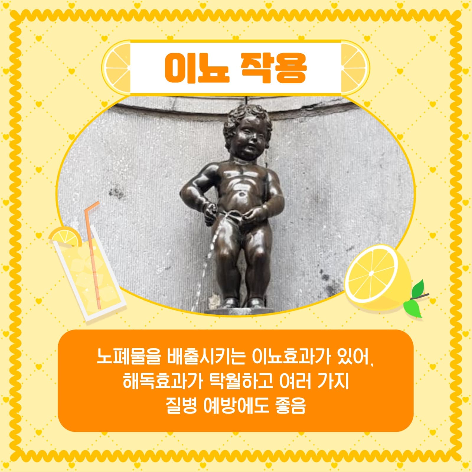 레몬의 효능 카드뉴스