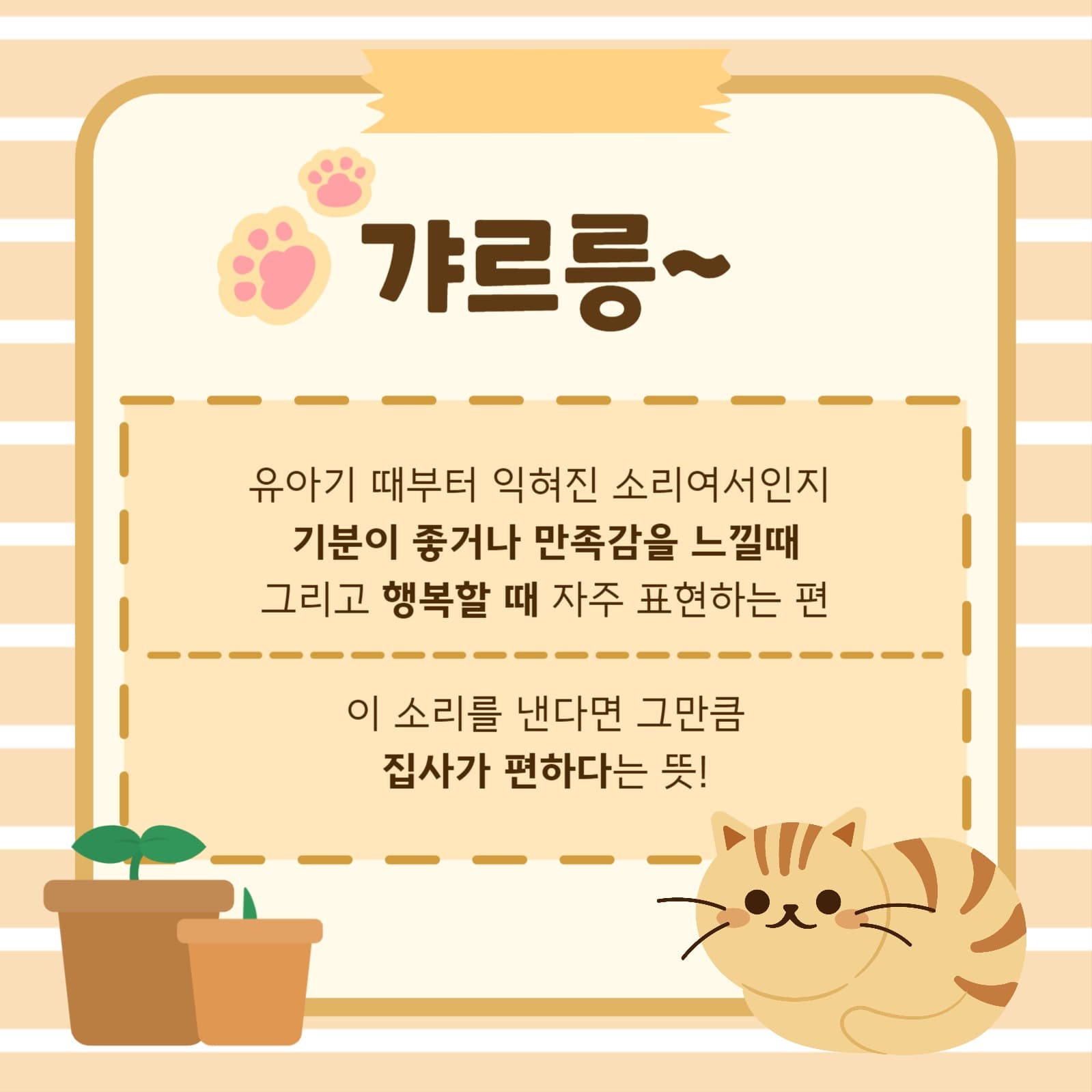 고양이 언어 완벽정리 카드뉴스