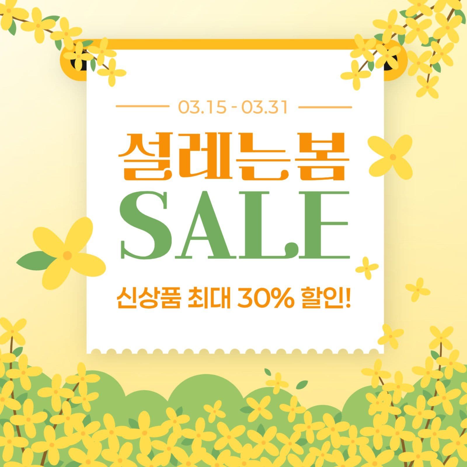 개나리 배경 봄 세일
