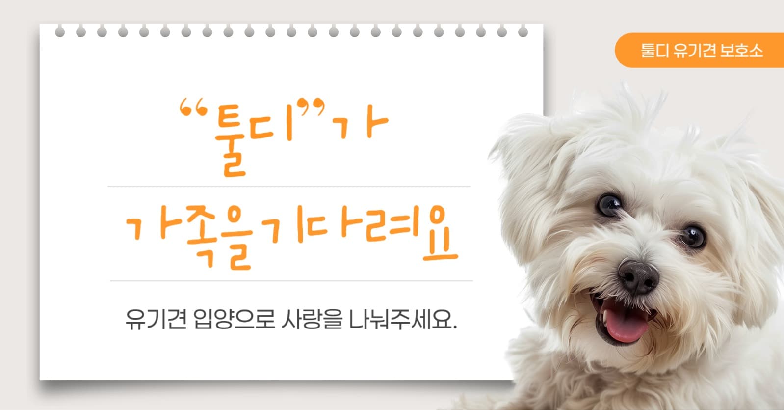 유기견 입양 홍보