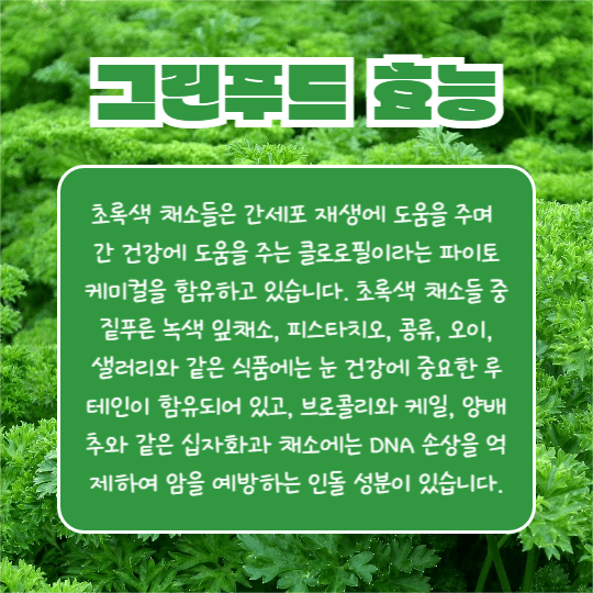 그린푸드 알아보기 (카드뉴스)