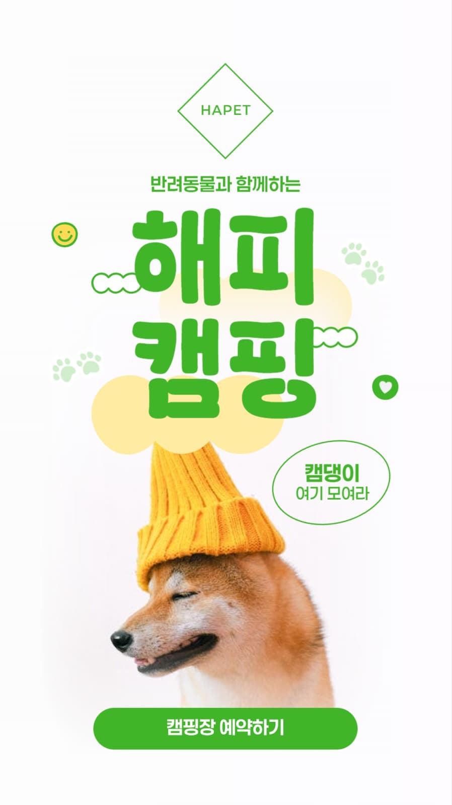 반려동물 캠핑장 배너
