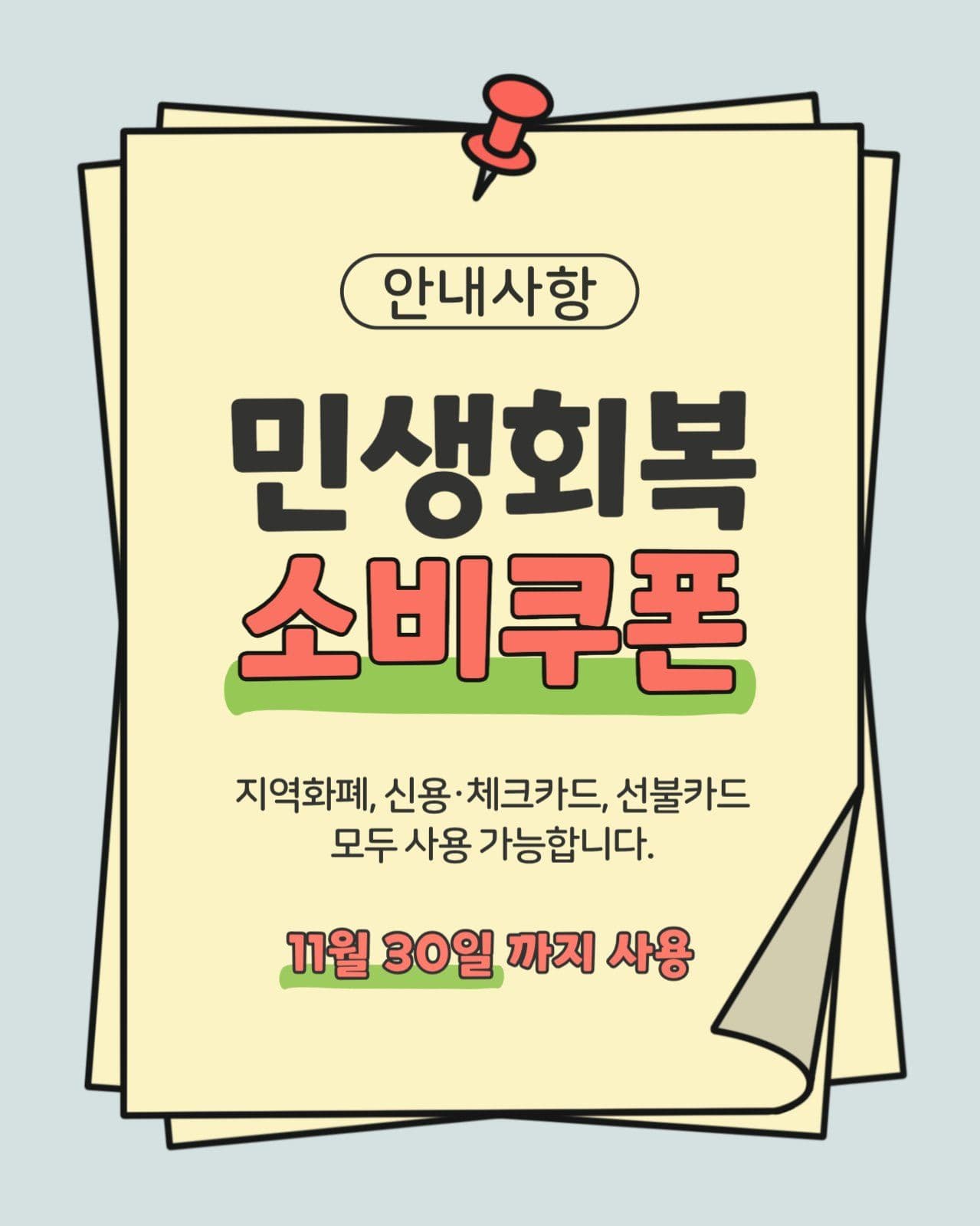 민생회복 소비쿠폰 사용 안내사항