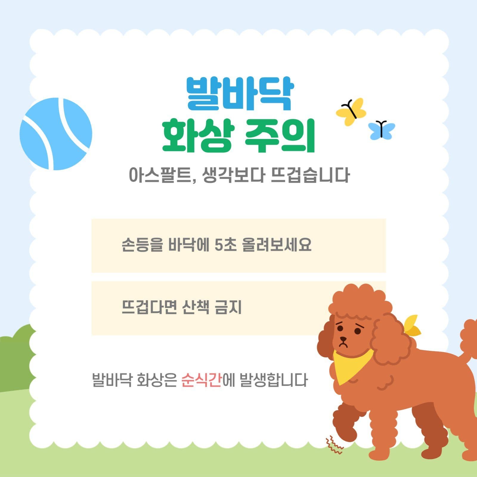 연두색 여름철 강아지 산책 안내