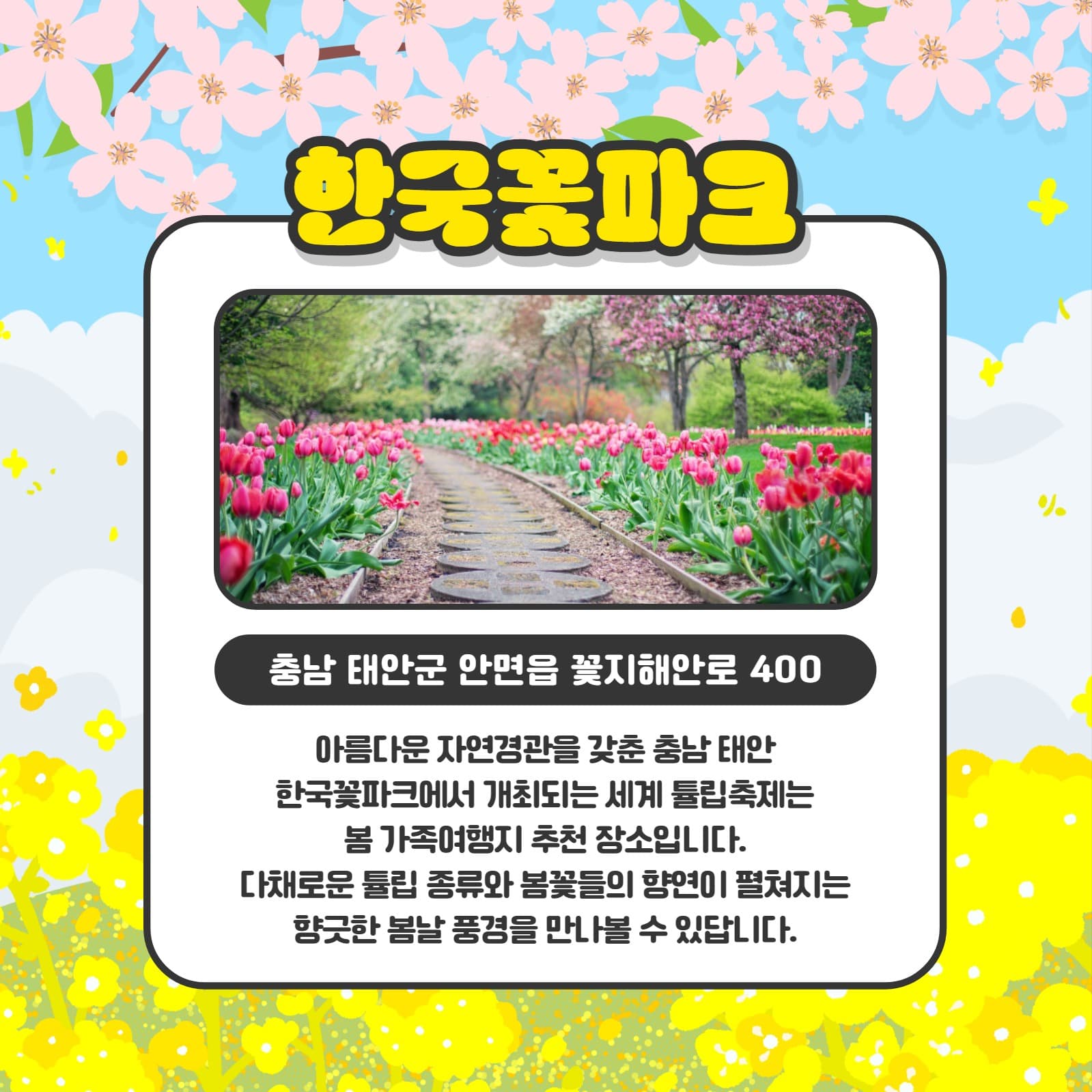 봄 나들이